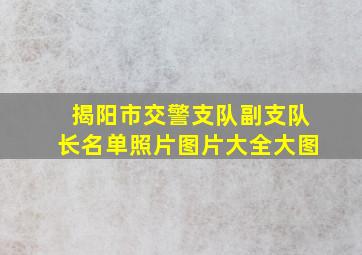 揭阳市交警支队副支队长名单照片图片大全大图