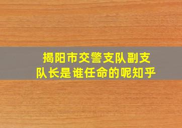 揭阳市交警支队副支队长是谁任命的呢知乎