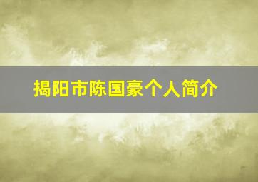 揭阳市陈国豪个人简介