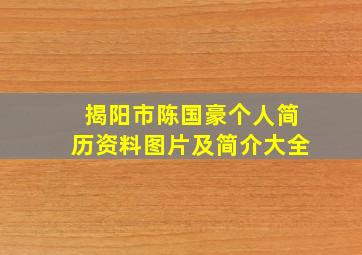 揭阳市陈国豪个人简历资料图片及简介大全