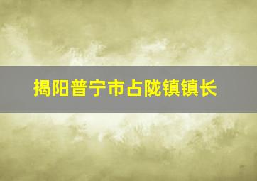 揭阳普宁市占陇镇镇长