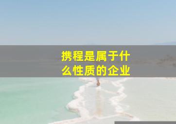 携程是属于什么性质的企业