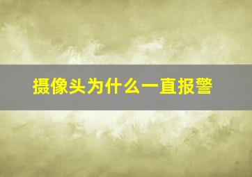 摄像头为什么一直报警