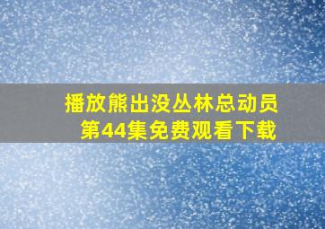 播放熊出没丛林总动员第44集免费观看下载