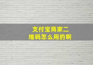 支付宝商家二维码怎么用的啊