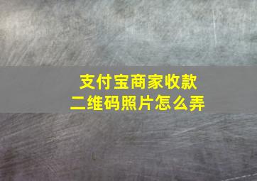 支付宝商家收款二维码照片怎么弄