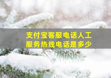 支付宝客服电话人工服务热线电话是多少