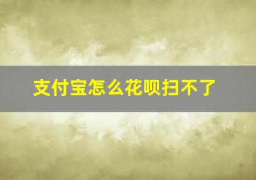 支付宝怎么花呗扫不了