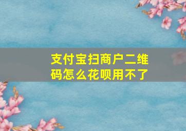 支付宝扫商户二维码怎么花呗用不了