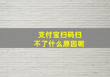 支付宝扫码扫不了什么原因呢