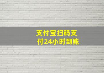 支付宝扫码支付24小时到账