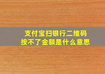 支付宝扫银行二维码按不了金额是什么意思