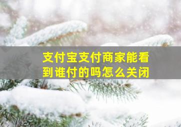 支付宝支付商家能看到谁付的吗怎么关闭