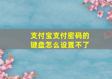 支付宝支付密码的键盘怎么设置不了