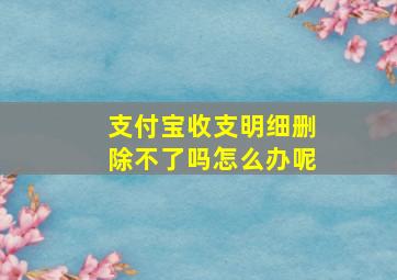 支付宝收支明细删除不了吗怎么办呢