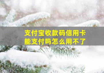 支付宝收款码信用卡能支付吗怎么用不了