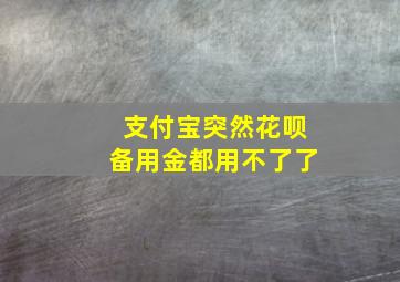 支付宝突然花呗备用金都用不了了