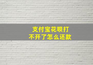 支付宝花呗打不开了怎么还款