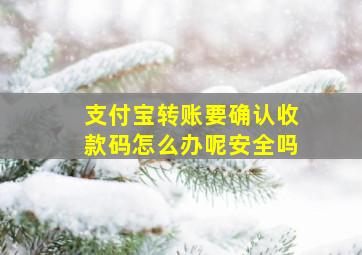 支付宝转账要确认收款码怎么办呢安全吗