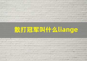 散打冠军叫什么liange