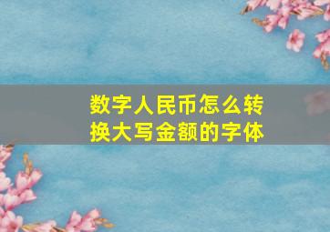 数字人民币怎么转换大写金额的字体