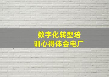 数字化转型培训心得体会电厂