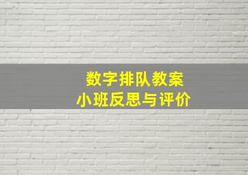 数字排队教案小班反思与评价