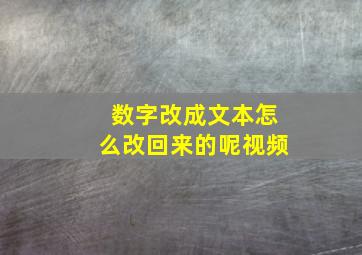 数字改成文本怎么改回来的呢视频