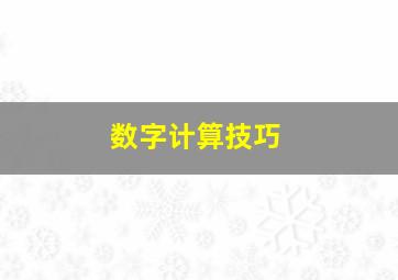 数字计算技巧