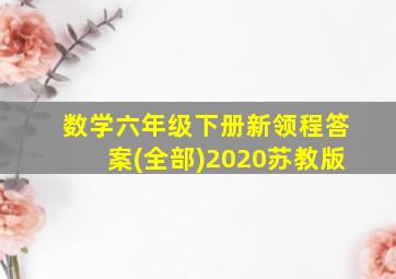 数学六年级下册新领程答案(全部)2020苏教版