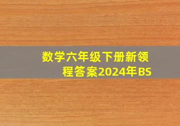 数学六年级下册新领程答案2024年BS