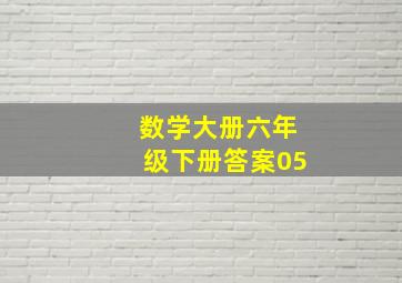 数学大册六年级下册答案05