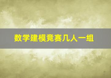 数学建模竞赛几人一组