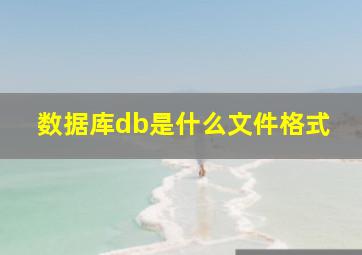 数据库db是什么文件格式