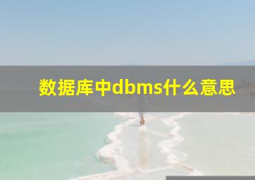 数据库中dbms什么意思