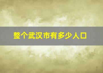 整个武汉市有多少人口