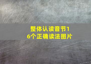 整体认读音节16个正确读法图片