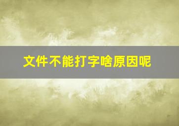 文件不能打字啥原因呢