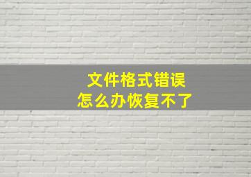 文件格式错误怎么办恢复不了