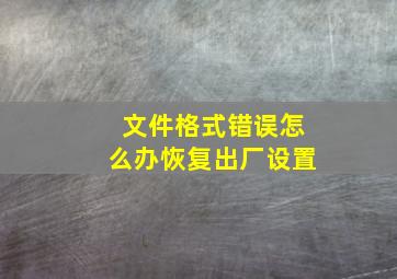 文件格式错误怎么办恢复出厂设置