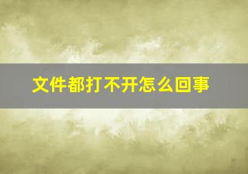 文件都打不开怎么回事