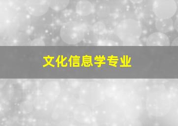 文化信息学专业