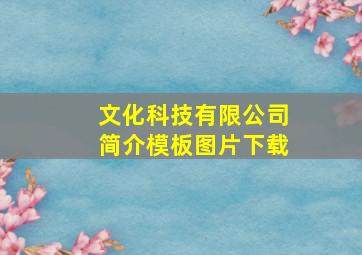 文化科技有限公司简介模板图片下载