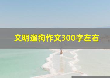 文明遛狗作文300字左右