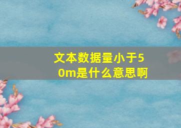 文本数据量小于50m是什么意思啊