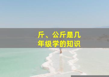 斤、公斤是几年级学的知识