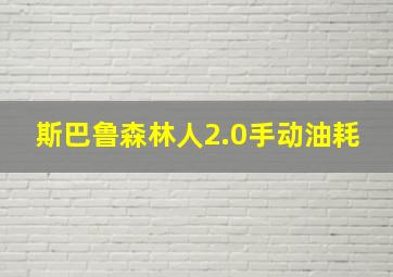 斯巴鲁森林人2.0手动油耗