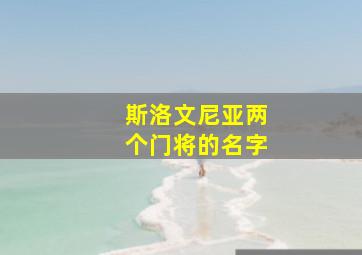 斯洛文尼亚两个门将的名字