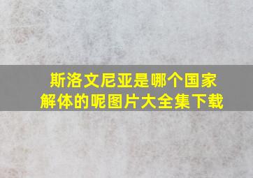 斯洛文尼亚是哪个国家解体的呢图片大全集下载