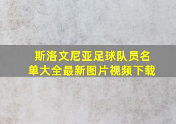 斯洛文尼亚足球队员名单大全最新图片视频下载